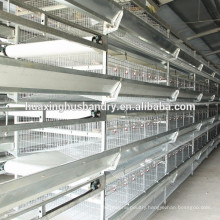 Hot galvanized rooster cage for sale /automatic chicken cage